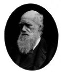 Darwin